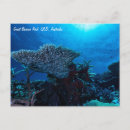 Suche nach riff postkarten Fisch