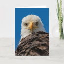 Suche nach eyes karten Tierwelt