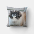 Suche nach shih tzu kissen Haustier