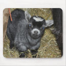 Suche nach zieger mousepads Kind