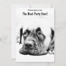 Suche nach bullmastiff postkarten Niedlich