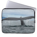 Suche nach wasserfall laptop schutzhüllen Foto