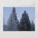 Suche nach winterbäume postkarten Wald