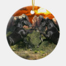 Suche nach schwarzes pferd ornamente Reiter