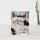 Suche nach traurige katze karten Albern