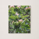 Suche nach obstbaum puzzle Obstbäume