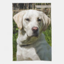 Suche nach labrador geschirr tücher Haustiere