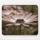 Suche nach makro mousepads Blume