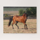 Suche nach araber puzzle Tier