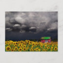 Suche nach seltsame postkarten Natur