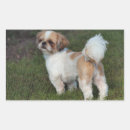 Suche nach shih tzu aufkleber Niedlich