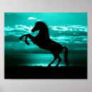 Suche nach schwarzer himmel poster Natur