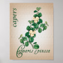 Suche nach aromatherapie poster Botanisch