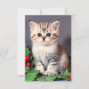 Suche nach vintage kitten karten Urlaub