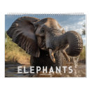 Suche nach elefanten kalender Wildtiere