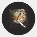 Suche nach rauchend aufkleber Katze