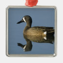 Suche nach männliche ornamente Blau