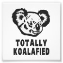 Suche nach niedlicher koala poster Bär