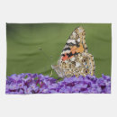 Suche nach gemalt geschirr tücher Schmetterling