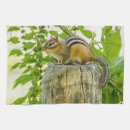 Suche nach chipmunks geschirr tücher Niedlich