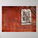 Suche nach rote beeren poster Fotografie