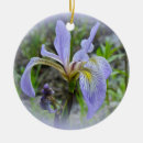 Suche nach iris ornamente Blau
