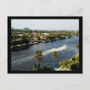 Suche nach fort lauderdale florida postkarten Palmen