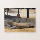 Suche nach drachen puzzle Für ihn