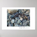 Suche nach zähne poster Fisch