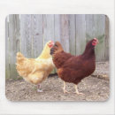 Suche nach huhn mousepads Hahn