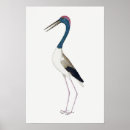 Suche nach storch poster Schwarz
