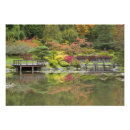 Suche nach japanischer garten poster Baum