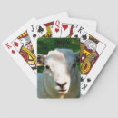 Suche nach lamm spielkarten Niedlich