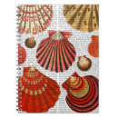 Suche nach muscheln kleine notizbücher Steampunk