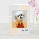 Suche nach designerhund Hunde