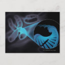 Suche nach strang postkarten Horizontal