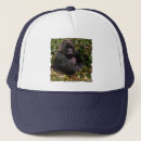 Suche nach gorilla kappen Tierwelt