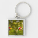 Suche nach honduras schlüsselanhänger Tier