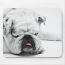 Suche nach liebe geburtstag mousepads Niedlich