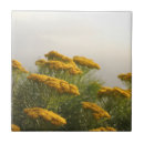 Suche nach wilde blumen fliesen Blumenreich