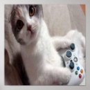 Suche nach gaming poster Katze