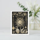 Suche nach ernst von haeckel postkarten Ernhaeckel