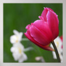 Suche nach gardening poster Floral