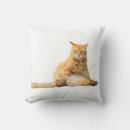 Suche nach cute animals kissen Kitten