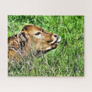 Suche nach cow puzzle Niedlich