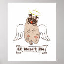 Suche nach lustige zitat poster Hund