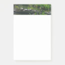 Suche nach schildkröte post it Natur