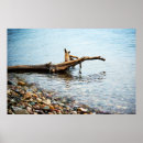 Suche nach protokolle poster Baum