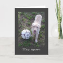Suche nach sport karten Daddy
