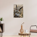 Suche nach big eyes poster Owl